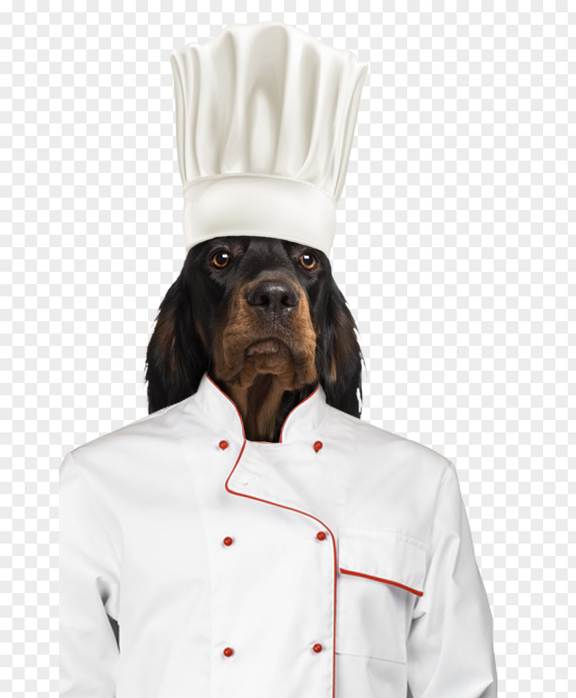 Setter Dog Breed Gordon Snout Sleeve PNG