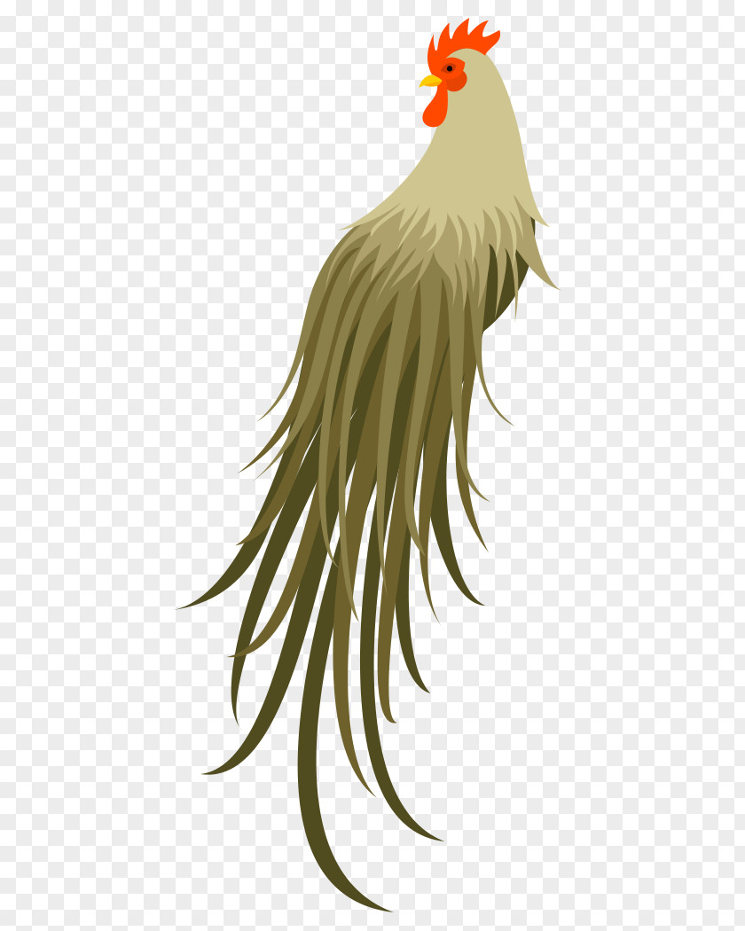Bird Material Rooster Chicken Beak PNG