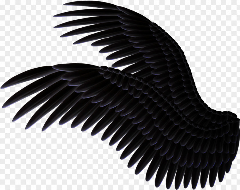 Black And White Wings Clip Art PNG