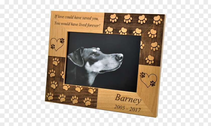 Dog Breed Picture Frames Art PNG