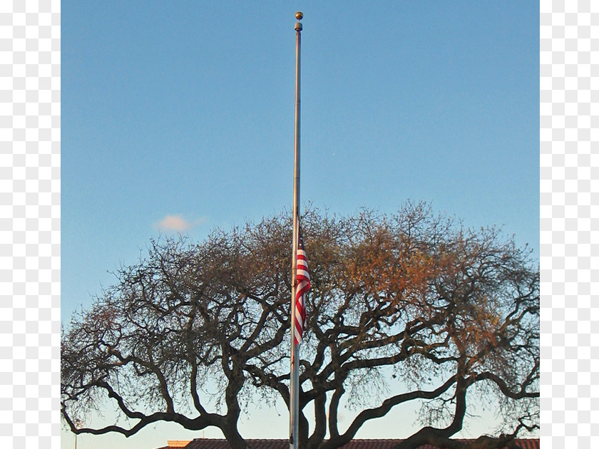 Flag Pole Sky Plc Branching PNG