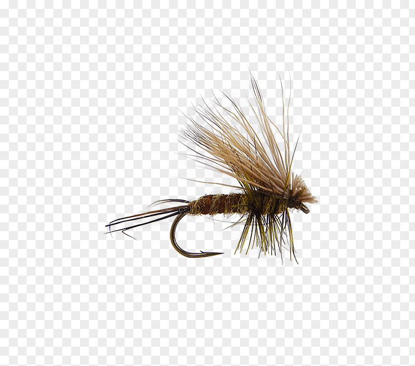 Fly Artificial Fishing Blue Trout Flies: Naturals And Imitations PNG