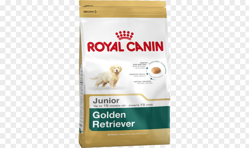 Golden Retriever Labrador Puppy Cat PNG