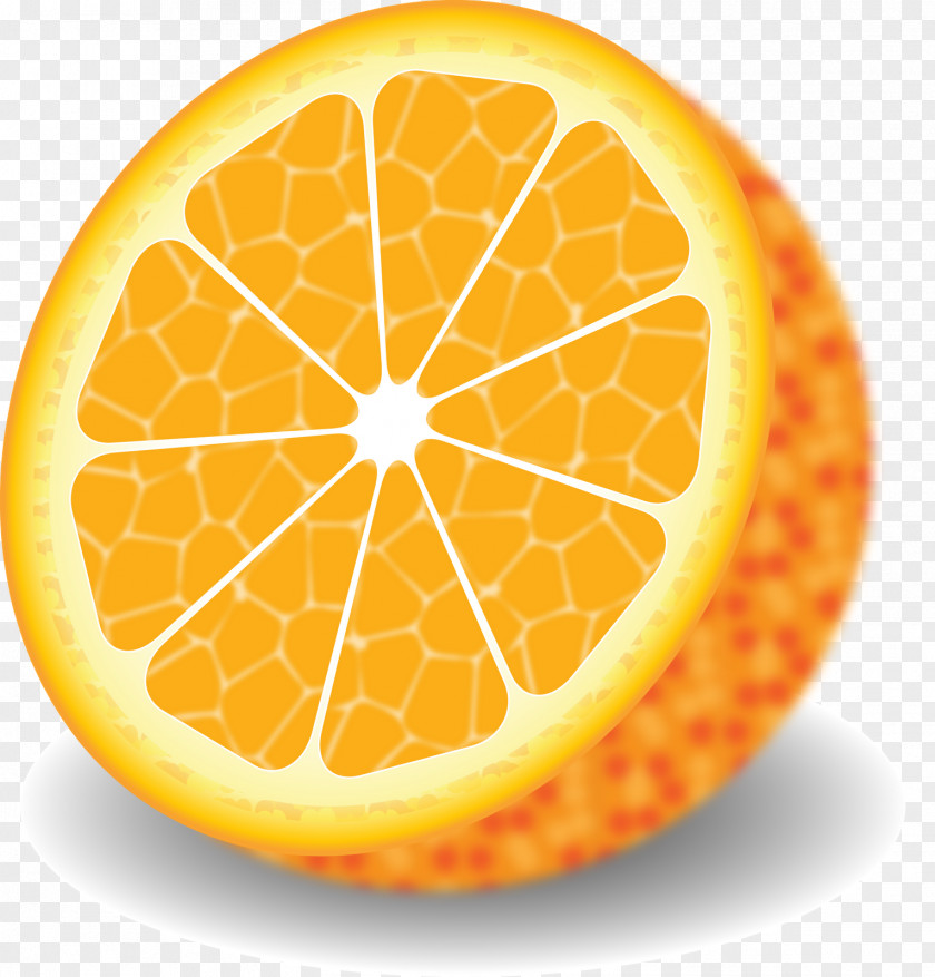 Orange Drawing PNG