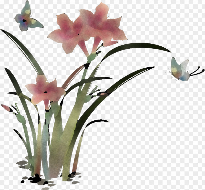 Lily Flower Floral PNG