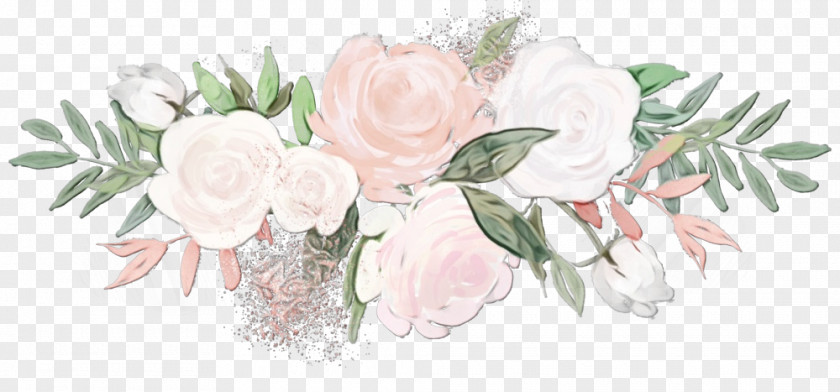 Petal Rose Family PNG