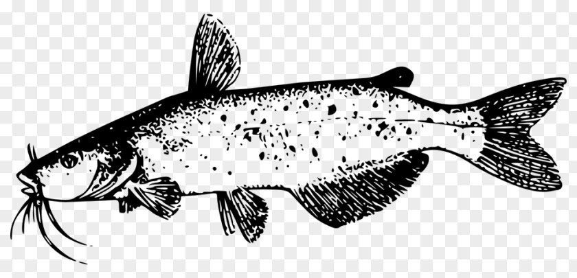 Bonyfish Brown Trout Fish Cartoon PNG
