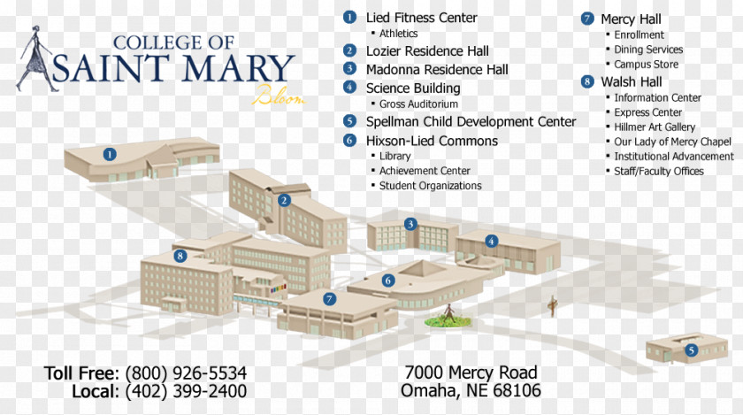 Education Abroad College Of Saint Mary Mary's California St. University, Texas San Mateo University Minnesota PNG