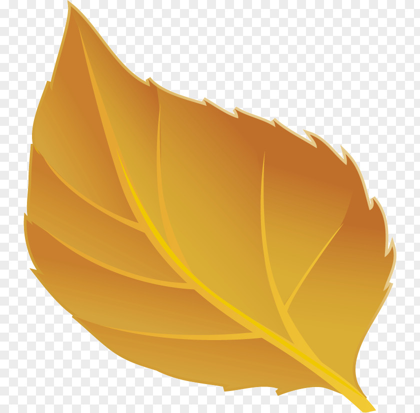 Leaf Yellow Plants Plant Structure Science PNG