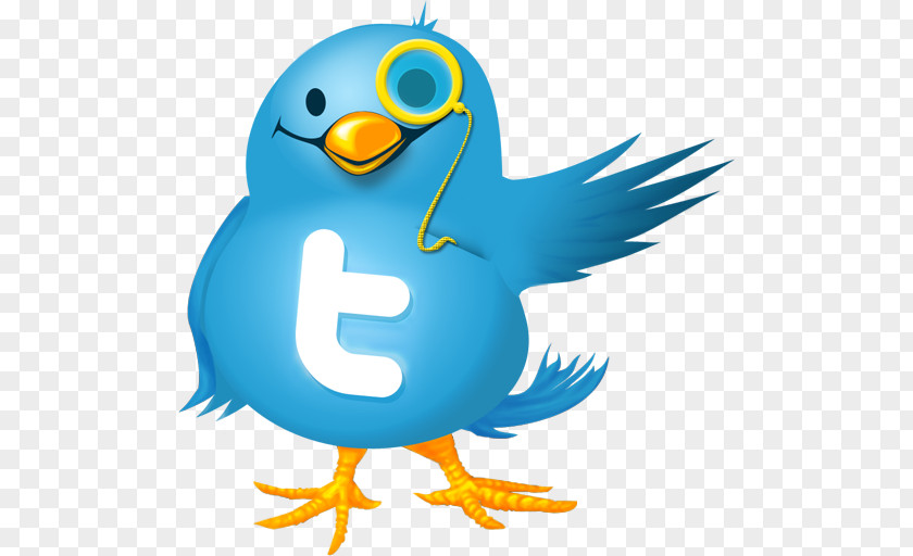 Microblogging Social Media Twitter PNG
