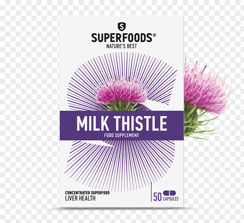 Milk Thistle Dietary Supplement Nutrient Superfood PNG
