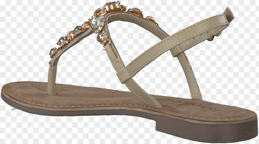Sandal Shoe Footwear Leather Slingback PNG