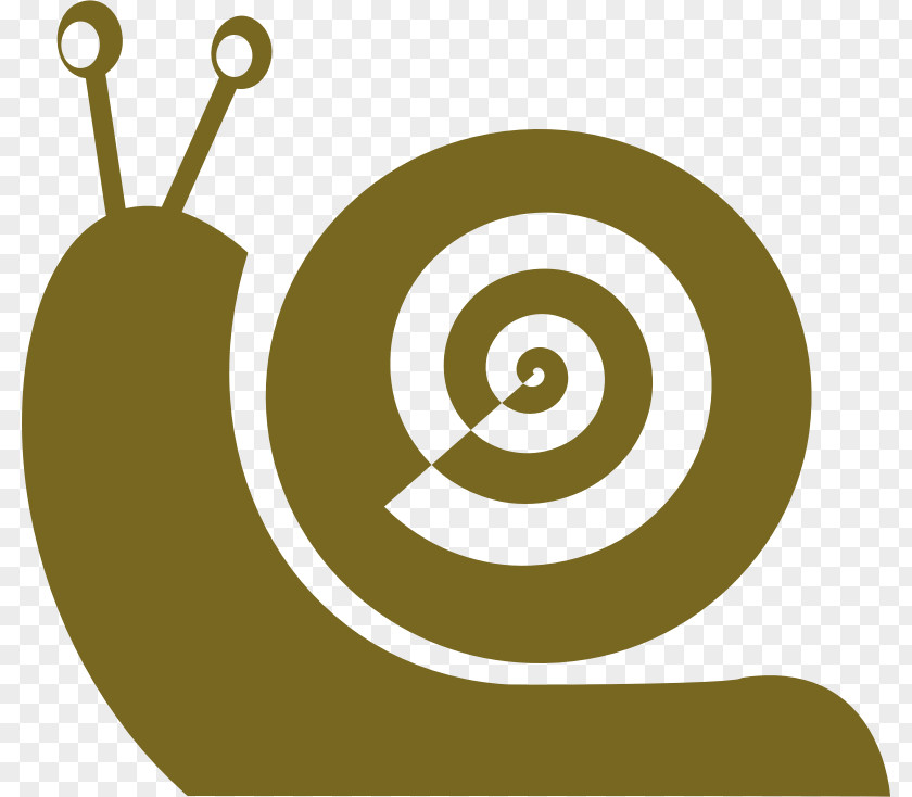 Snail Cornu Aspersum T-shirt Drawing Gastropods PNG