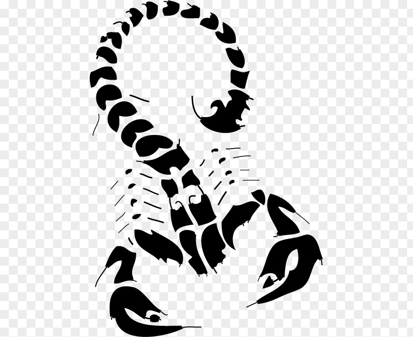 Vector Scorpion The House Of Clip Art PNG