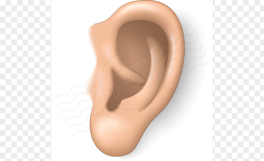 Ear Noise Cliparts Free Content Blog Clip Art PNG