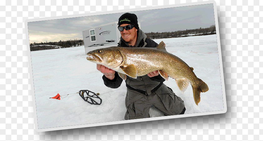 Ice Castle Fishing Fly Walleye House PNG