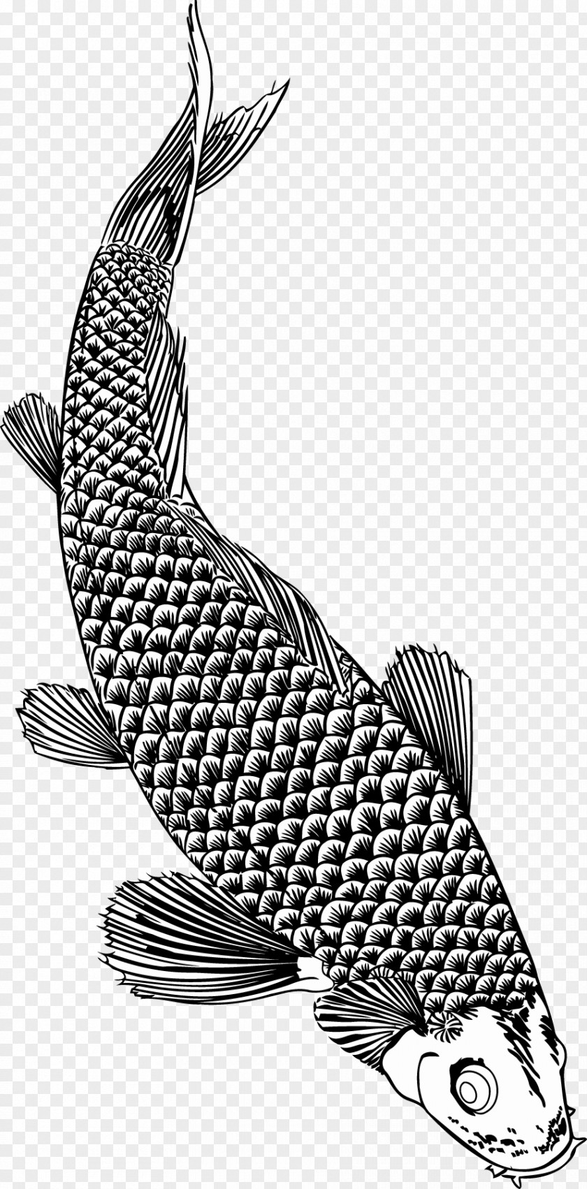 Koi Fish Brush Monochrome Seafood PNG
