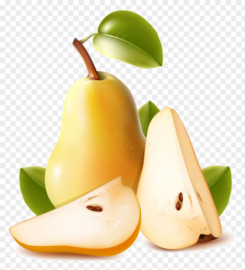 Pears Pictures Pear Drawing Clip Art PNG