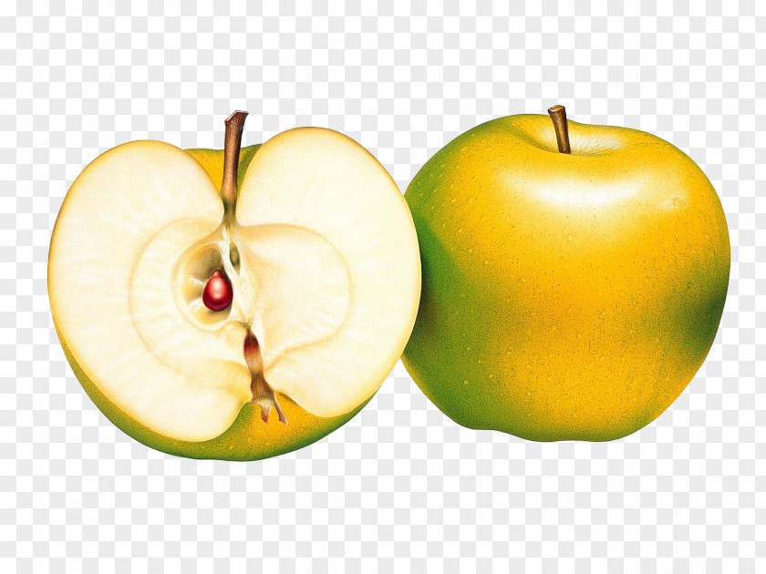 Yellow And Green Apples Apple Fraction Image File Formats Clip Art PNG