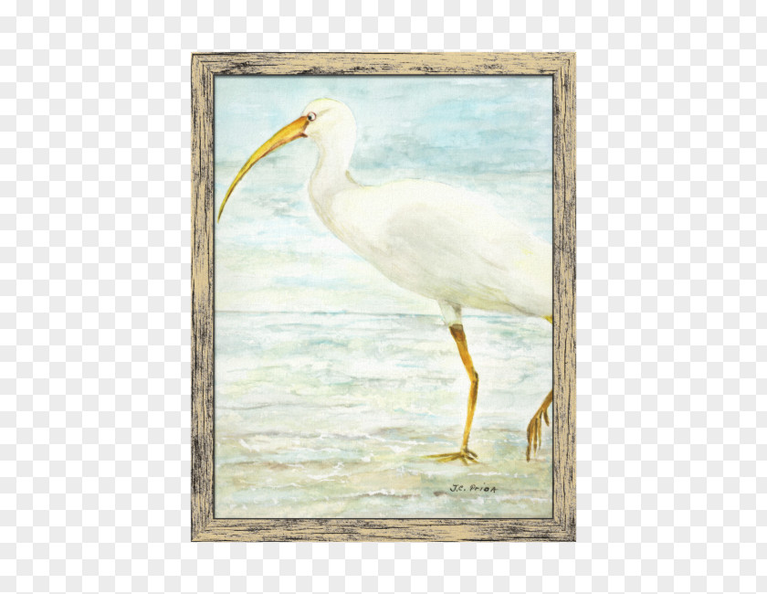 Bird Great Egret Painting Wader Ibis PNG