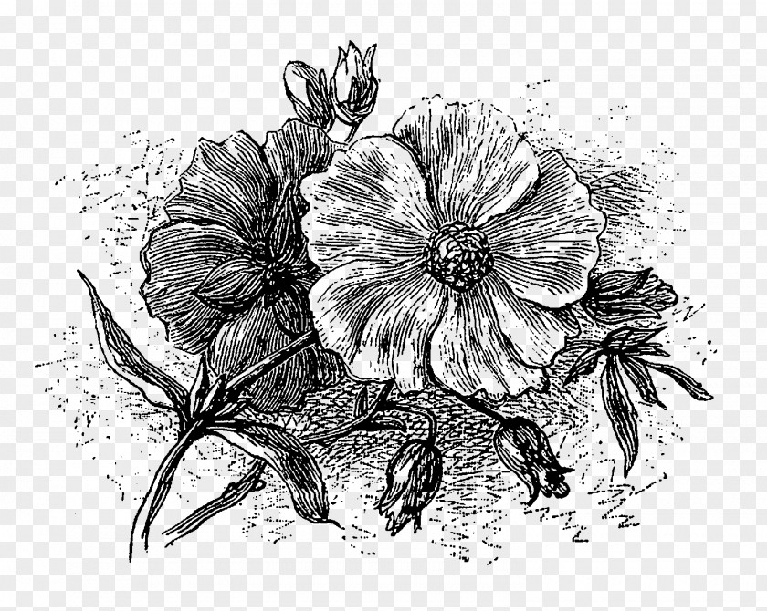 Botanical Flowers Azathoth Cthulhu Mythos The Thing On Doorstep Other Gods PNG