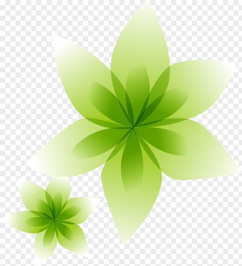 Floating Green Flowers Euclidean Vector Drawing Vecteur PNG