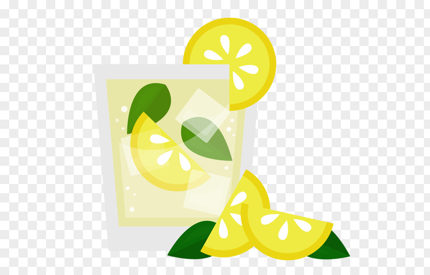 Gin Fizz Lemon Lime Citric Acid PNG