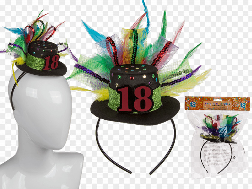 Hat Headband With Feathers Headgear PNG