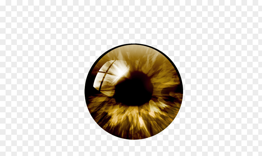 Human Eye Pupil Color PNG