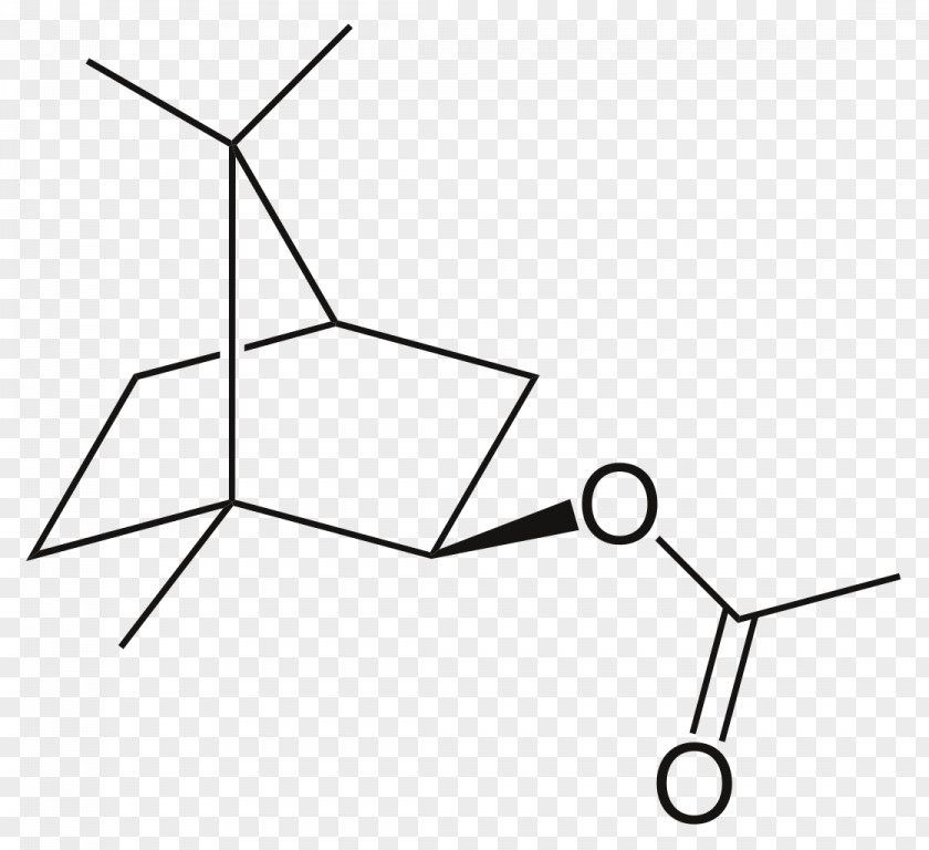 Isobutyl Acetate Borneol Camphorsulfonic Acid Camphoric PNG