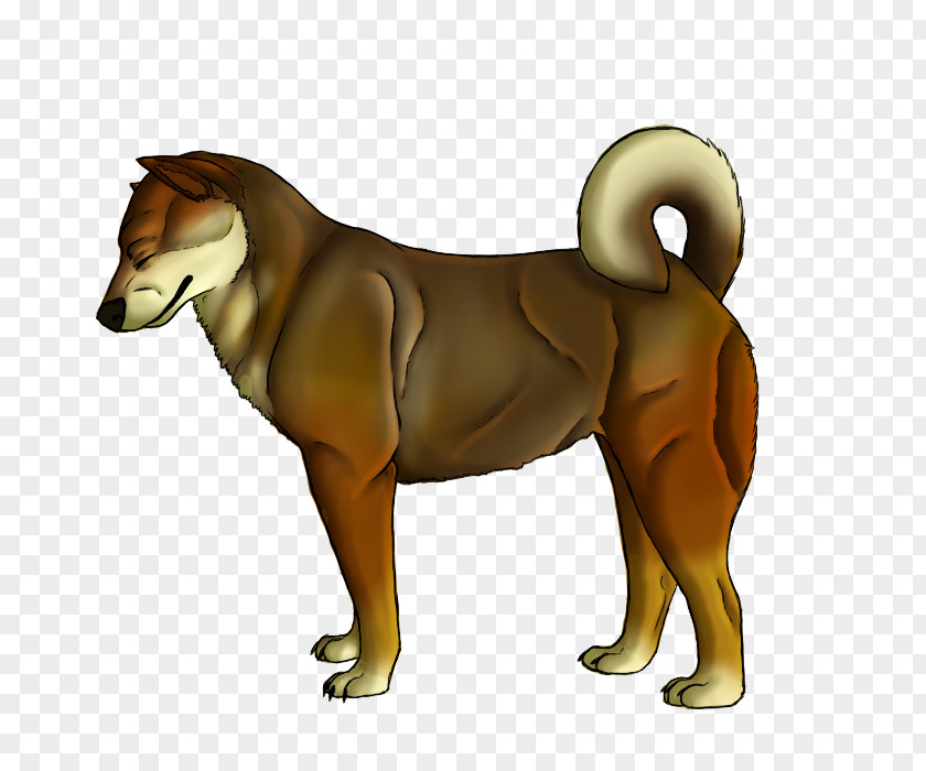 Lion Dog Breed Cat Puppy PNG