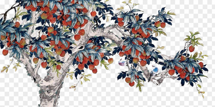 Litchi Tree Painting Lychee Chinese PNG
