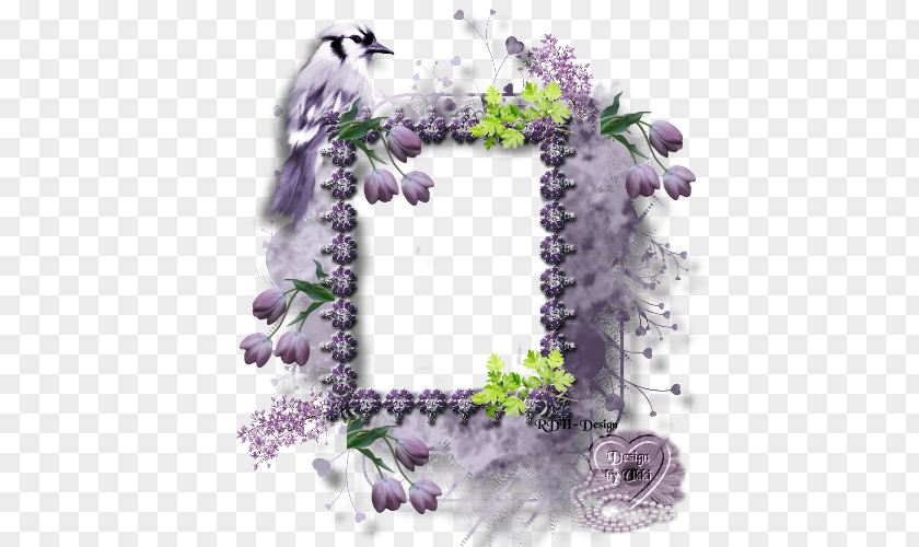 Violet Floral Design Lavender Picture Frames PNG