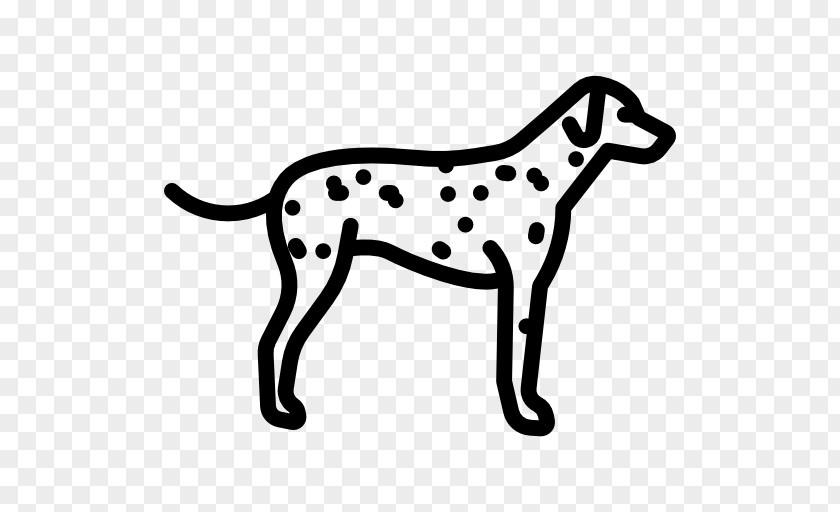 Dalmatian Dog French Bulldog Bernese Mountain Jack Russell Terrier Greyhound PNG