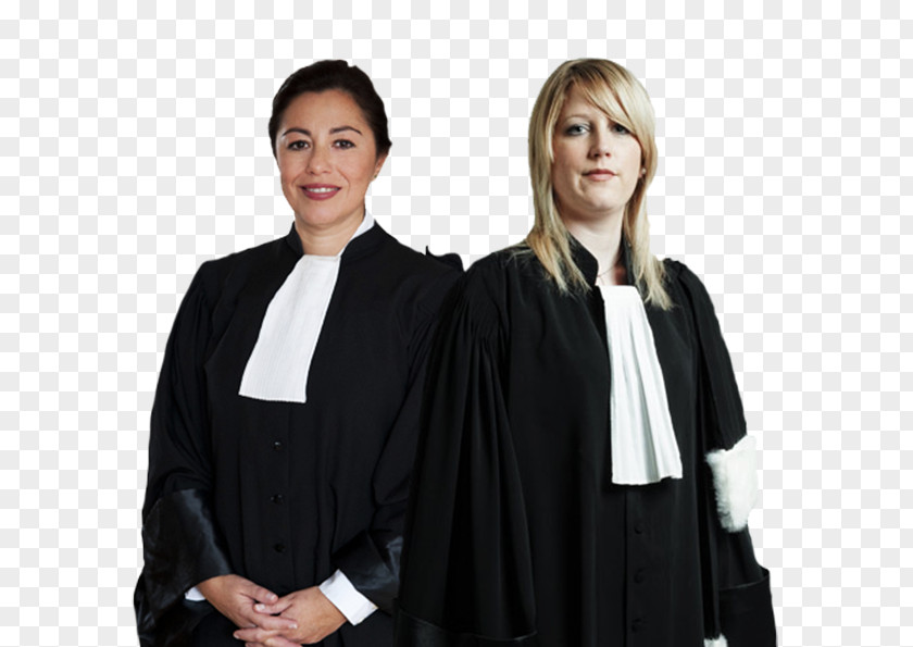 Lawyer Professional Barrister PNG Barrister, lawyer clipart PNG