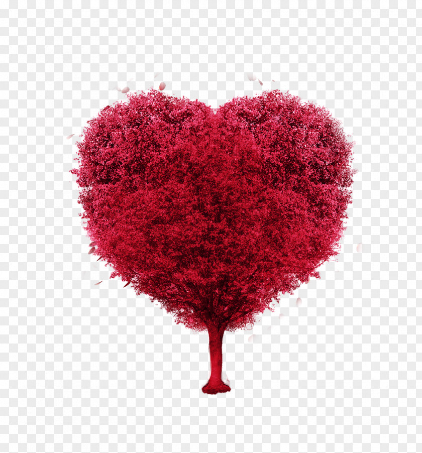 Magic Tree Heart Of Love Valentine's Day 가장 예쁜 생각을 너에게 주고 싶다 PNG