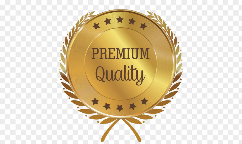 Premium Quality Logo Ponte Vittorio Clip Art PNG