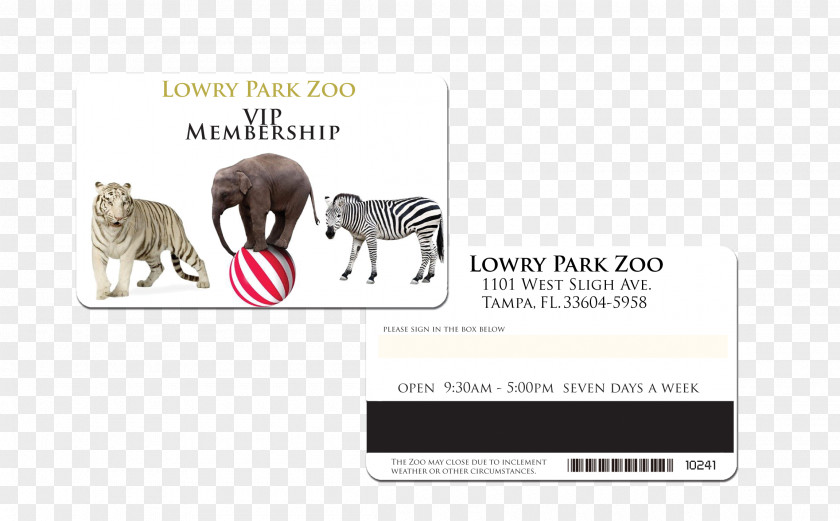 Vip Membership Card The Elements Of Scrum Elephantidae Tapestry Mammal Book PNG