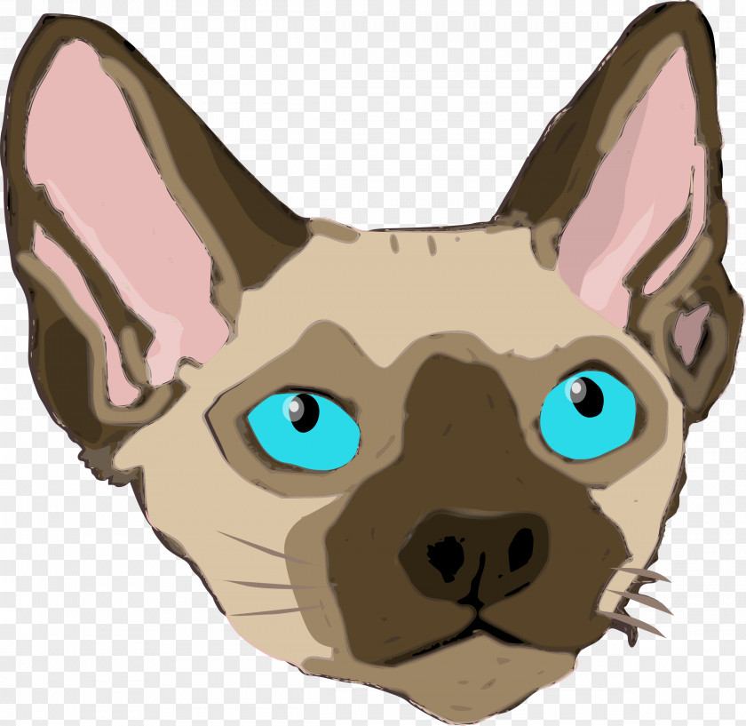 Cat Ears Devon Rex Sphynx Breed Clip Art PNG