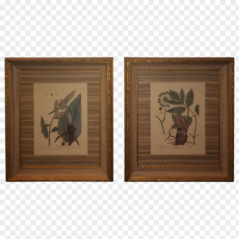 Hand Painted Wood Stain Picture Frames /m/083vt Rectangle PNG