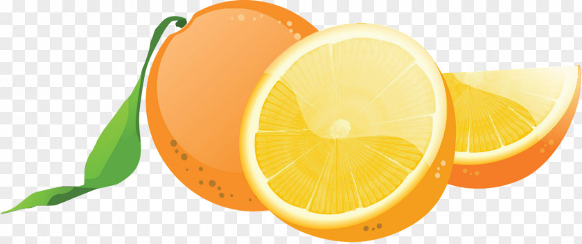 Orange Clipart Fruit Logo PNG