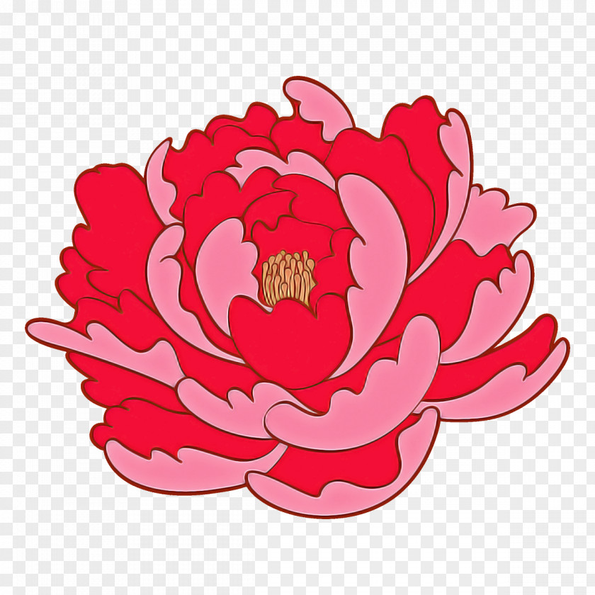 Pink Petal Flower Red Plant PNG