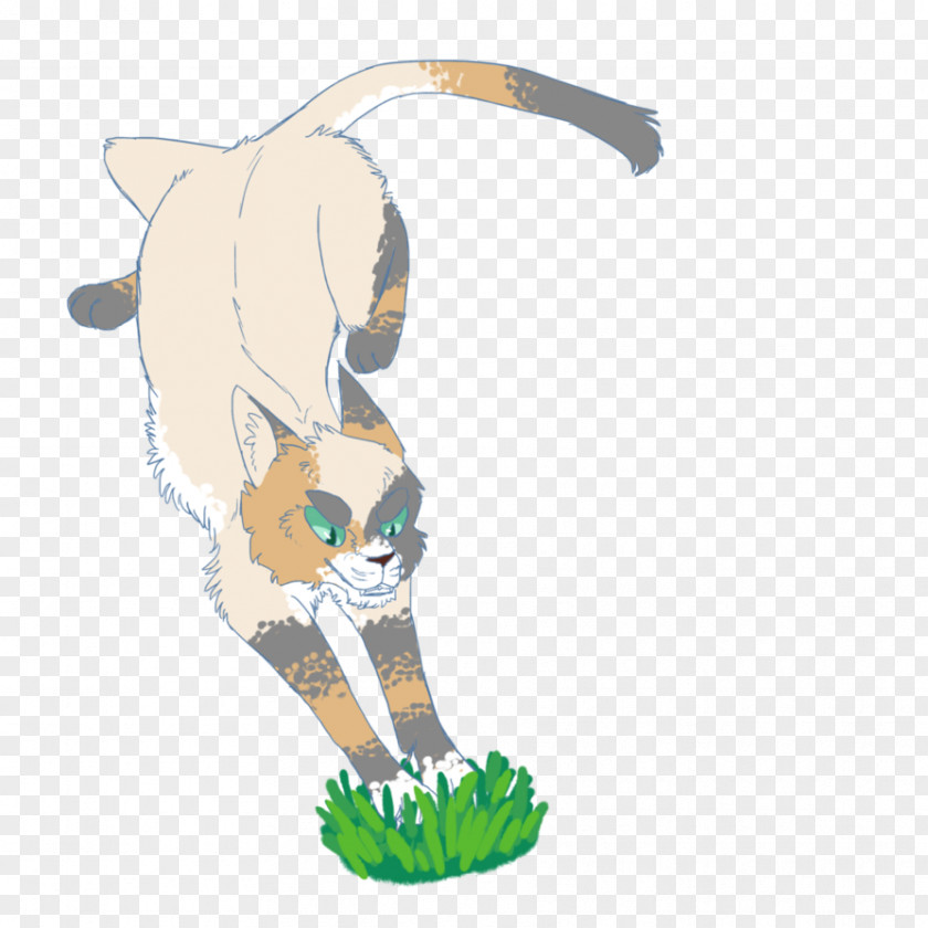 See Her Whiskers Tiger Cat Clip Art PNG