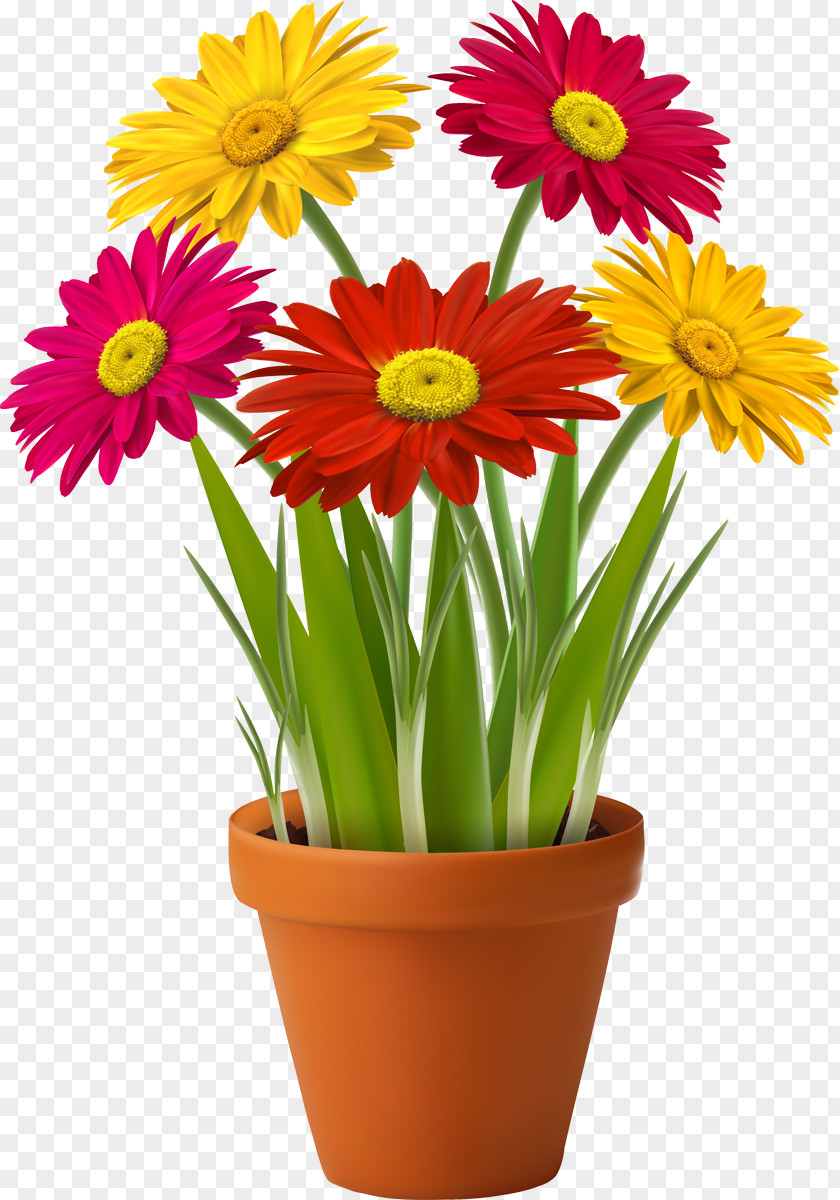 Flower Flowerpot Houseplant Garden Clip Art PNG