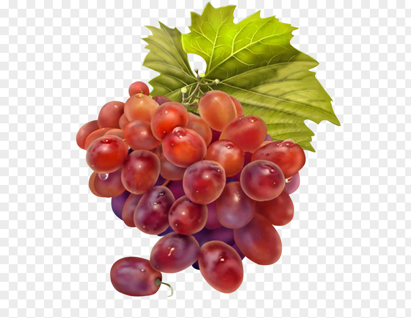 Grape Juice Wine Grapevines PNG