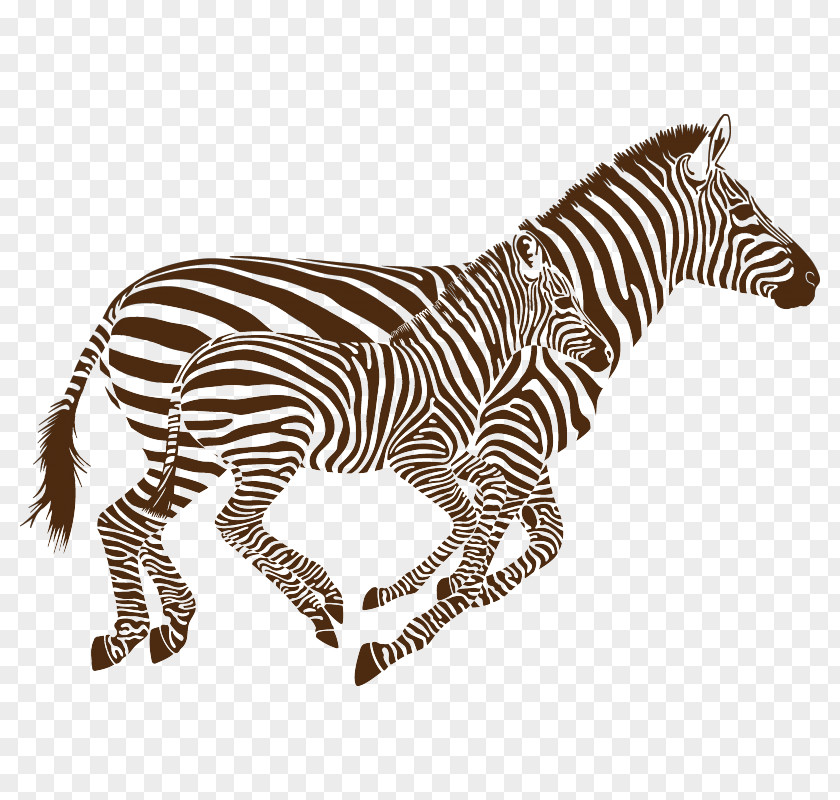 Horse Zebra Sticker Illustration Quagga PNG