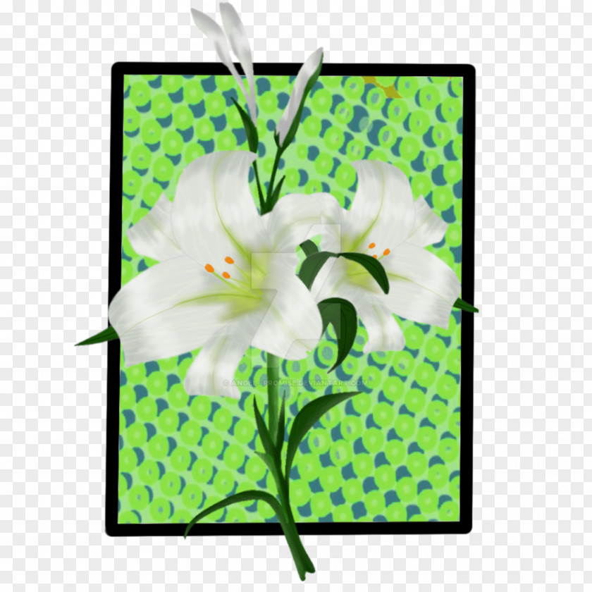 Lily's Promise Sarasota Floral Design Flowering Plant PNG
