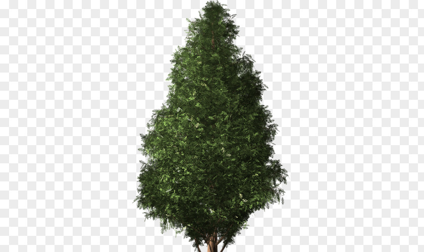 Christmas Tree Pre-lit Artificial Fir PNG