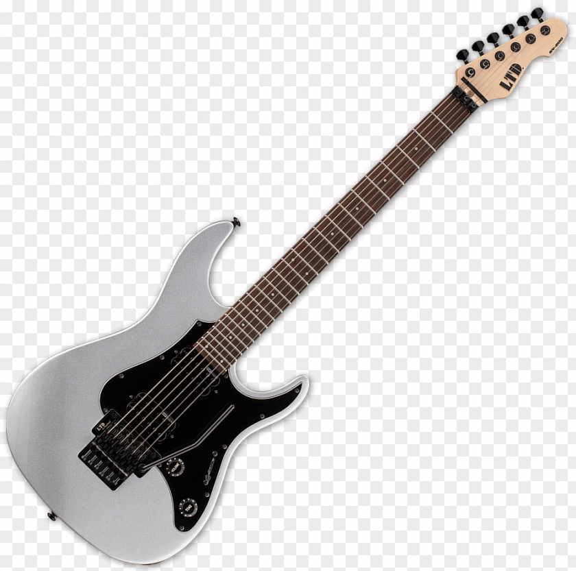 Electric Guitar ESP LTD EC-1000 Seven-string Ibanez RG PNG