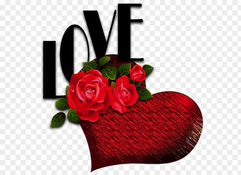 Red Heart With Roses And Love Picture Flower PNG